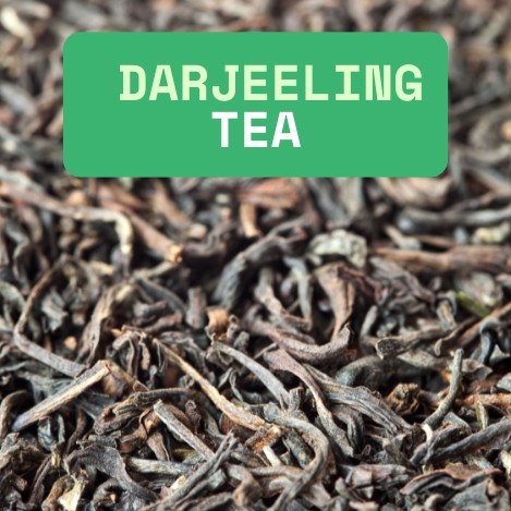 Darjeeling Special